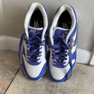 Nike Blue and White Sneakers